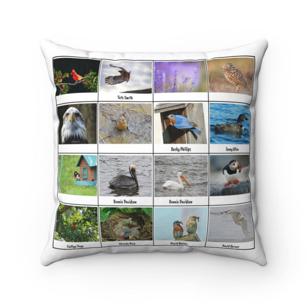 Astonishing Bird Photography (Version 5)