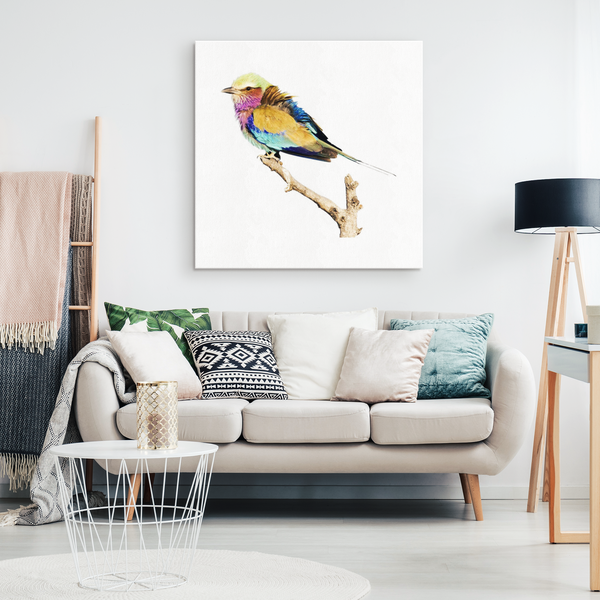 Lilac-breasted Roller Canvas Wrap