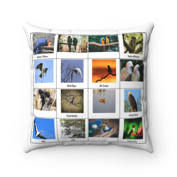 Gorgeous Bird Photography (Version 5)
