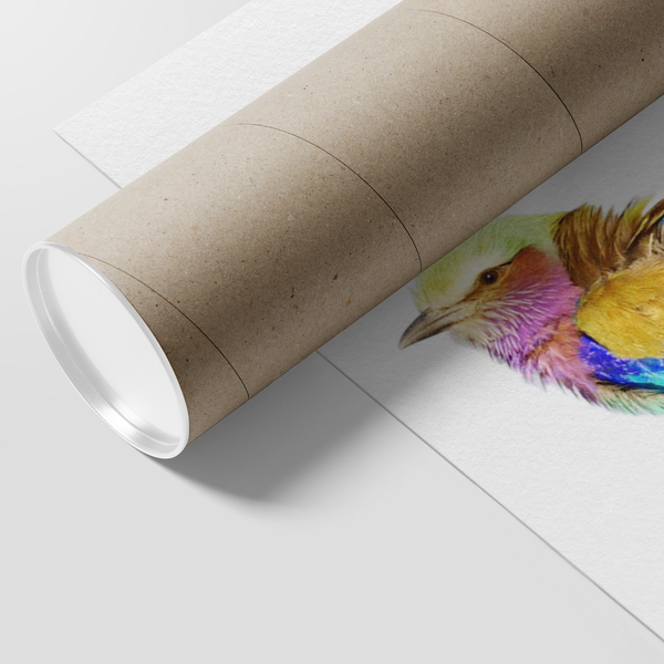 Lilac-breasted Roller Poster