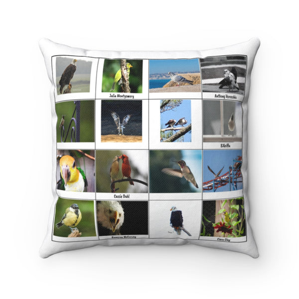 Striking Bird Photography (Version 3)