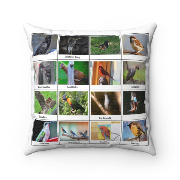 Superb Bird Photography (Version 3)