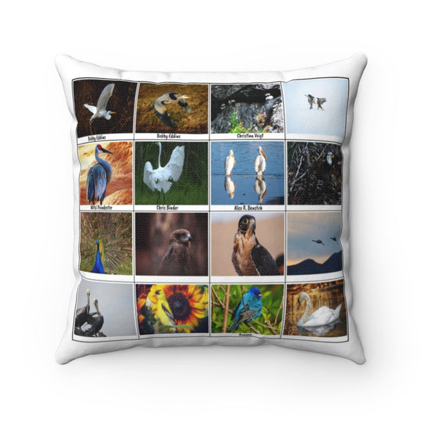 Stunning Bird Photography (Version 4)