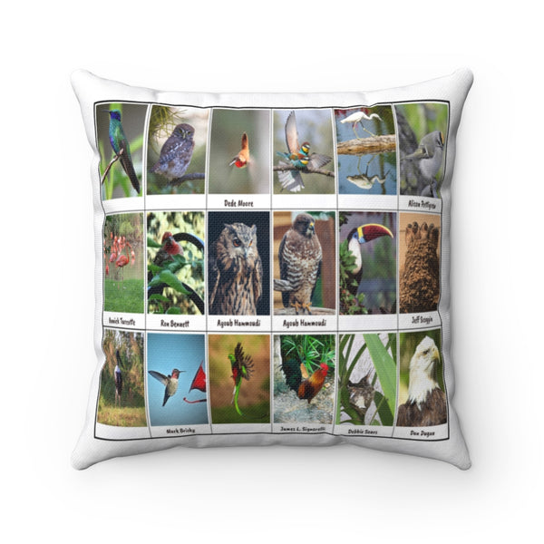 Pleasant Bird Photography (Version 5)