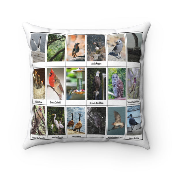 Extraordinary Bird Photography (Version 5)
