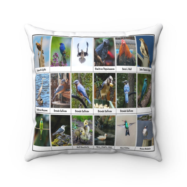 Riveting Bird Photography (Version 2)