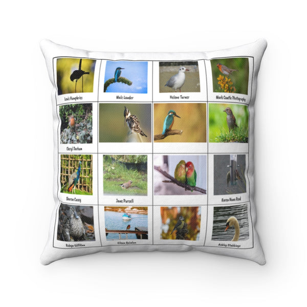 Sublime Bird Photography (Version 6)