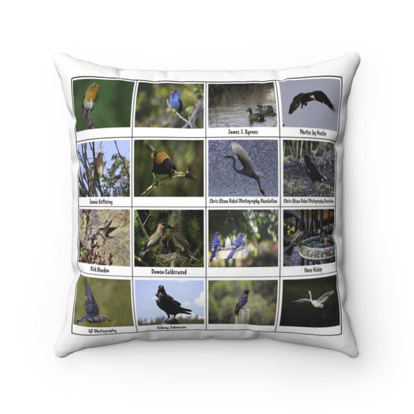 Fascinating Bird Photography (Version 7)