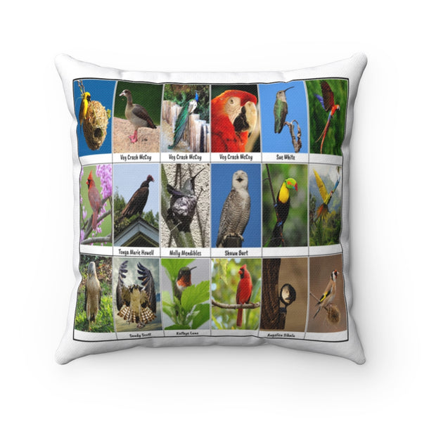 Amazing Bird Photography (Version 1)