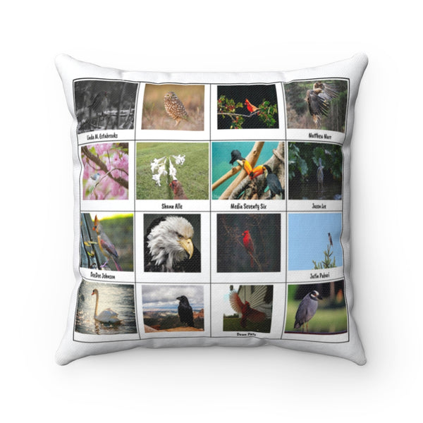 Marvelous Bird Photography (Version 2)