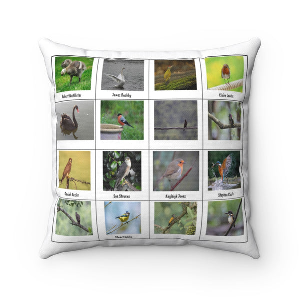 Delightful Bird Photography (Version 4)
