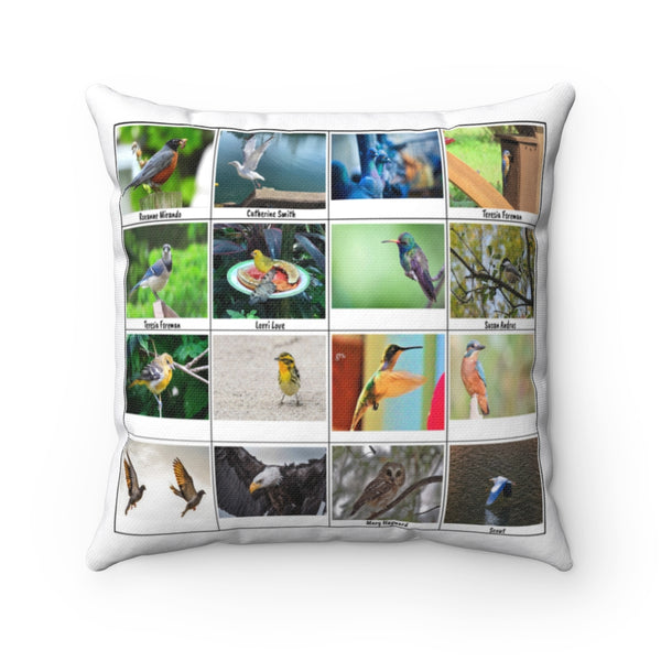 Splendid Bird Photography (Version 6)