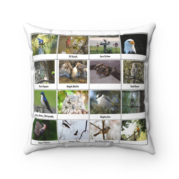 Brilliant Bird Photography (Version 4)