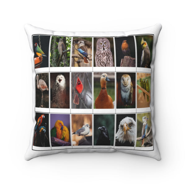 Astonishing Bird Photography (Version 8)