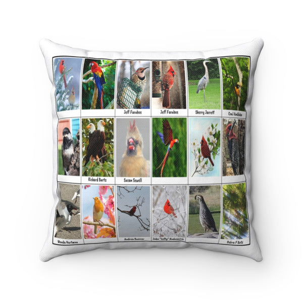 Magnificent Bird Photography (Version 1)
