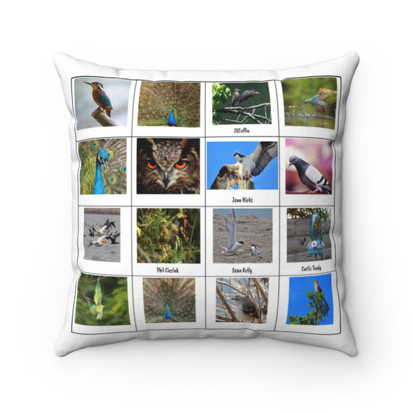 Incredible Bird Photography (Version 3)