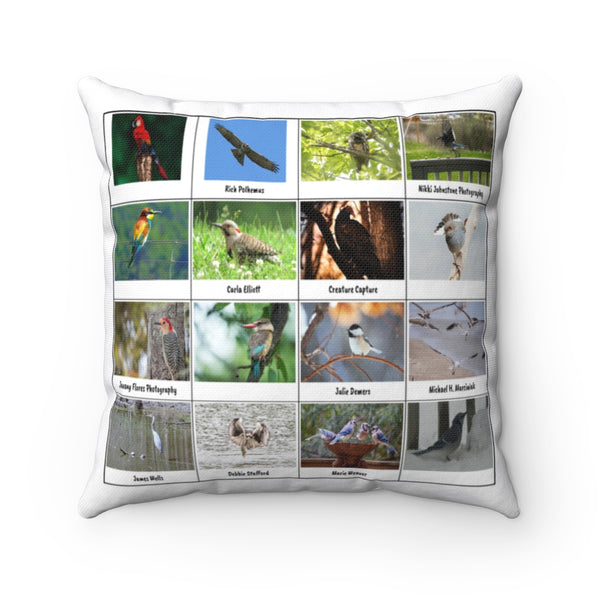 Brilliant Bird Photography (Version 6)