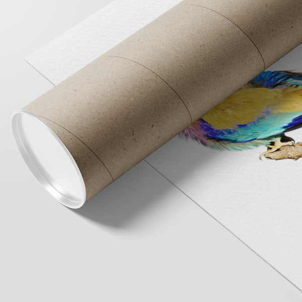 Lilac-breasted Roller Poster