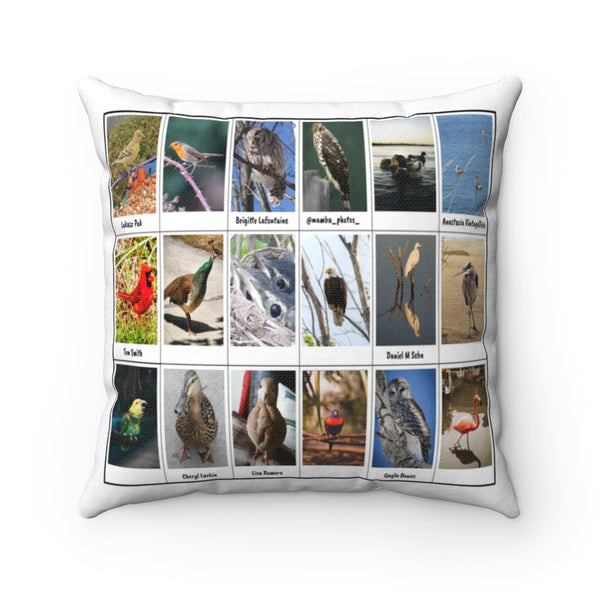 Extraordinary Bird Photography (Version 4)