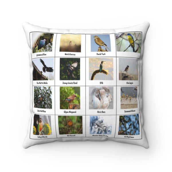 Spectacular Bird Photography (Version 1)