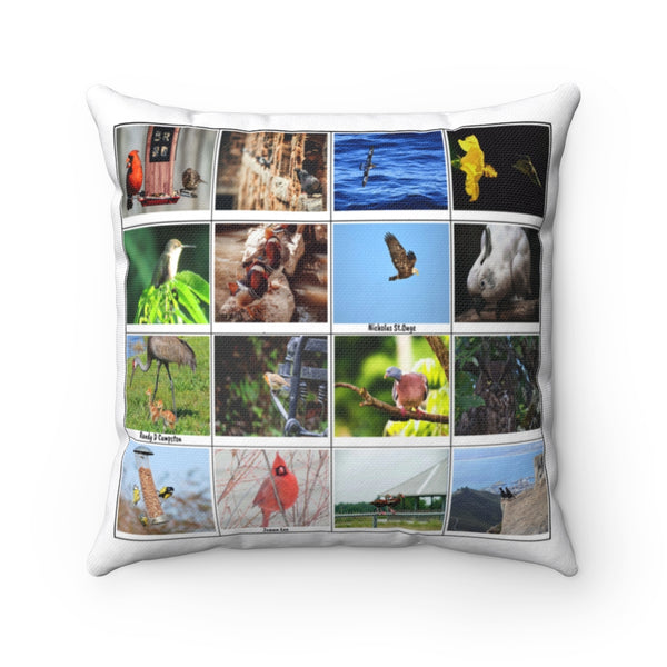 Stunning Bird Photography (Version 5)