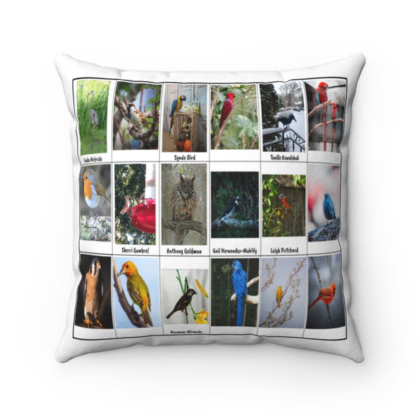 Radiant Bird Photography (Version 1)