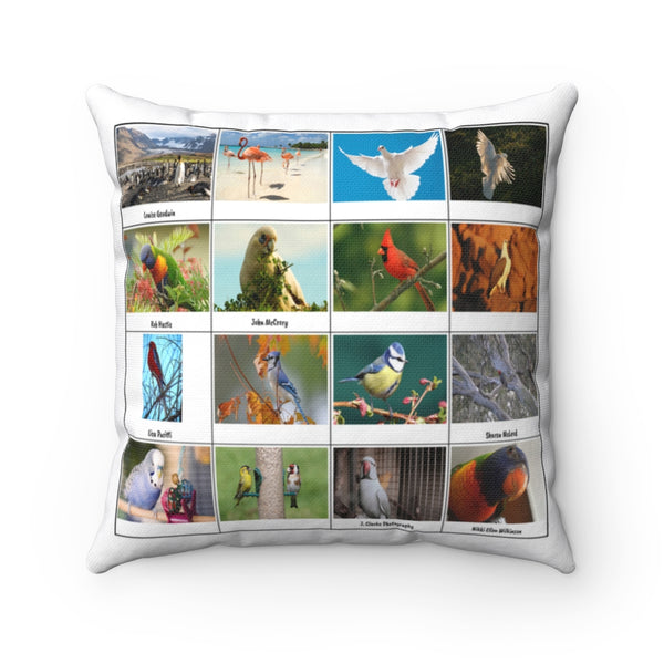 Tremendous Bird Photography (Version 3)