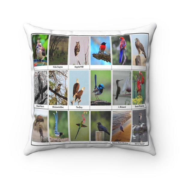 Fascinating Bird Photography (Version 2)