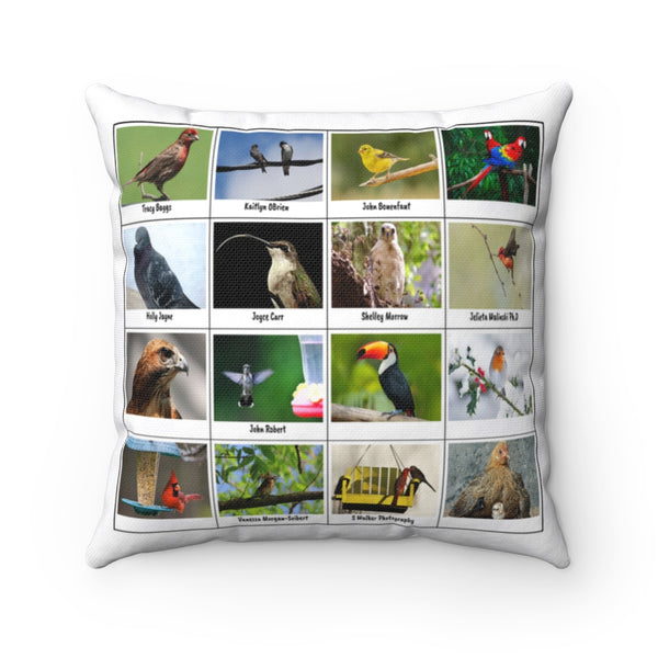 Outstanding Bird Photography (Version 3)