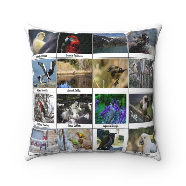 Charming Bird Photography (Version 6)