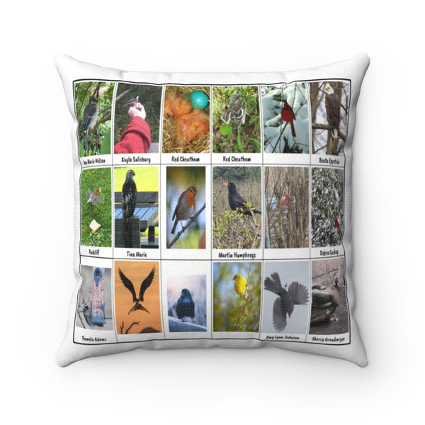 Marvelous Bird Photography (Version 1)