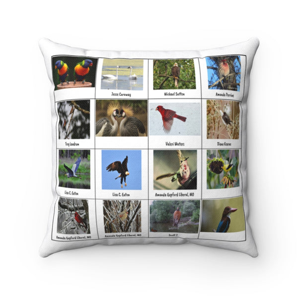 Gorgeous Bird Photography (Version 8)