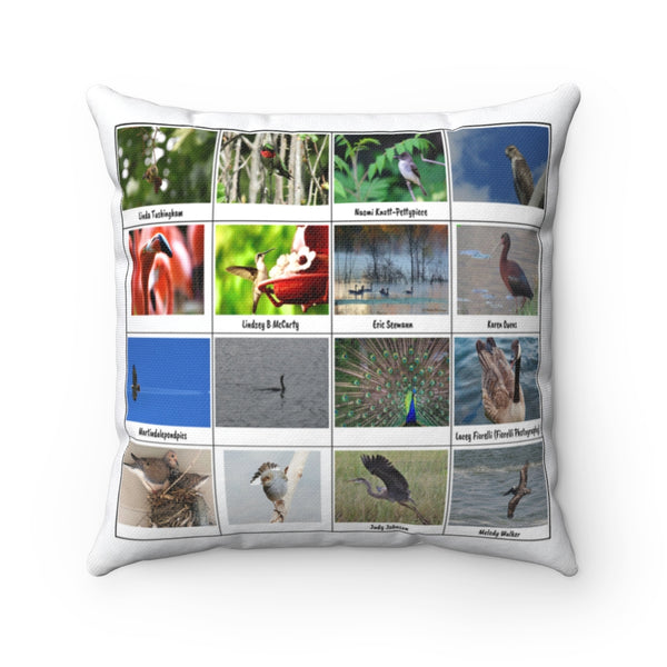 Marvelous Bird Photography (Version 6)