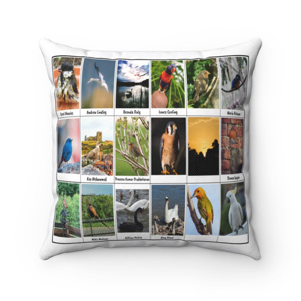 Fabulous Bird Photography (Version 3)