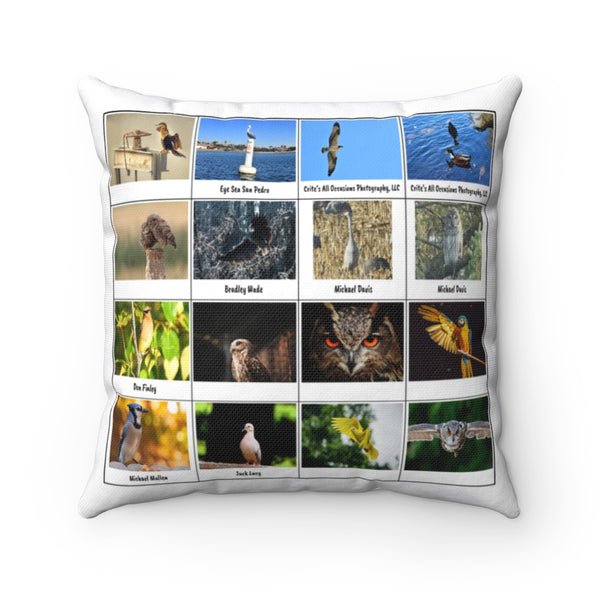 Brilliant Bird Photography (Version 3)