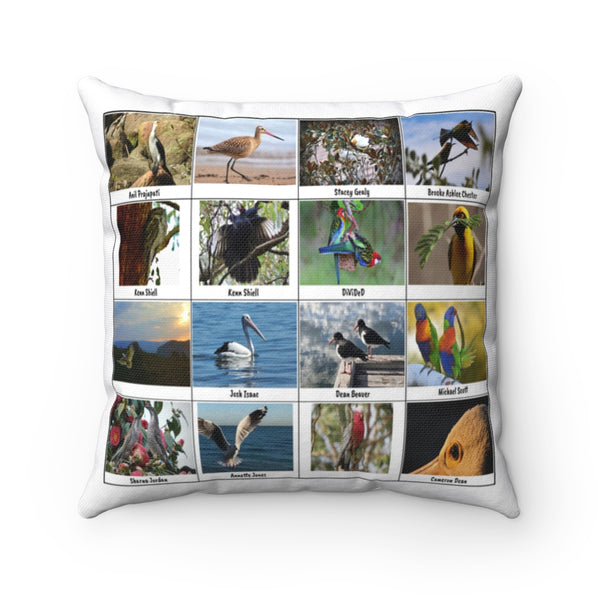 Charming Bird Photography (Version 7)