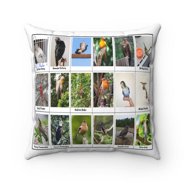 Outstanding Bird Photography (Version 1)