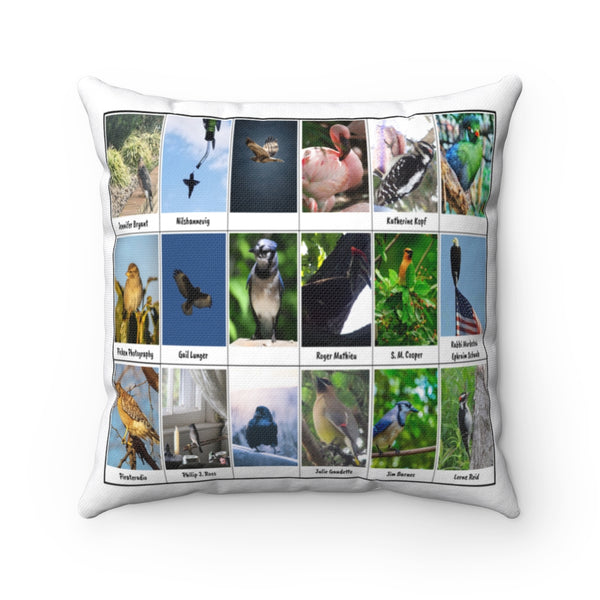 Brilliant Bird Photography (Version 3)