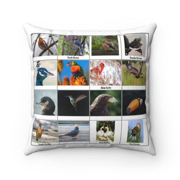 Striking Bird Photography (Version 1)