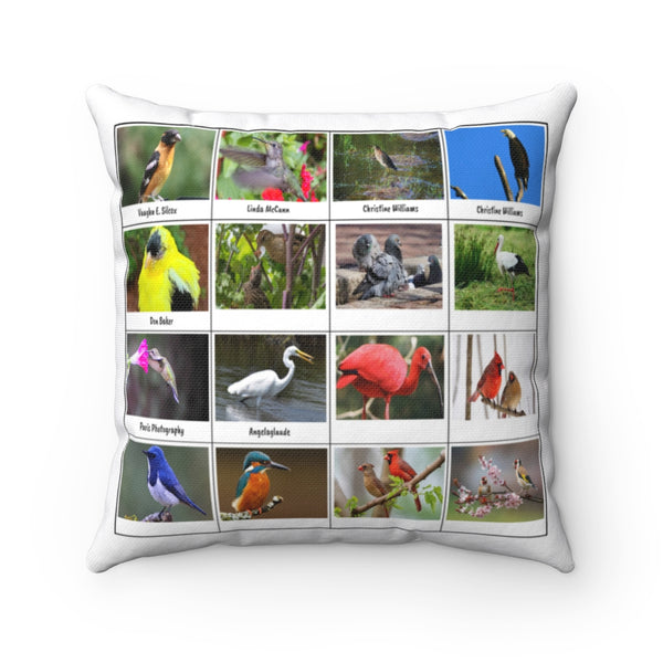 Superb Bird Photography (Version 8)