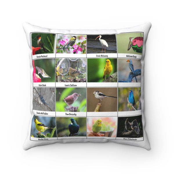 Amazing Bird Photography (Version 7)