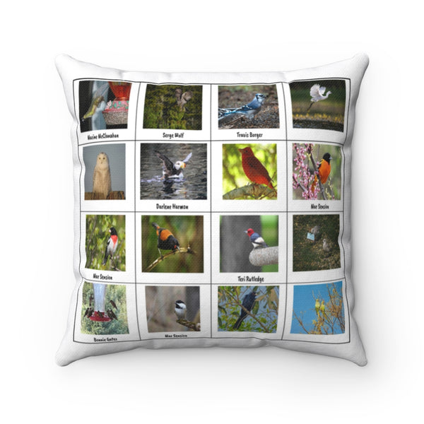 Remarkable Bird Photography (Version 8)