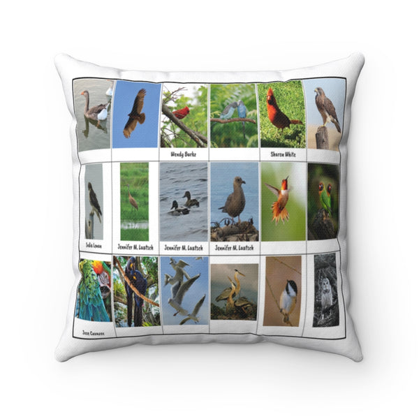 Special Bird Photography (Version 4)