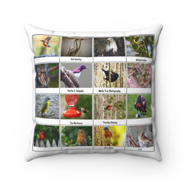 Pleasant Bird Photography (Version 3)