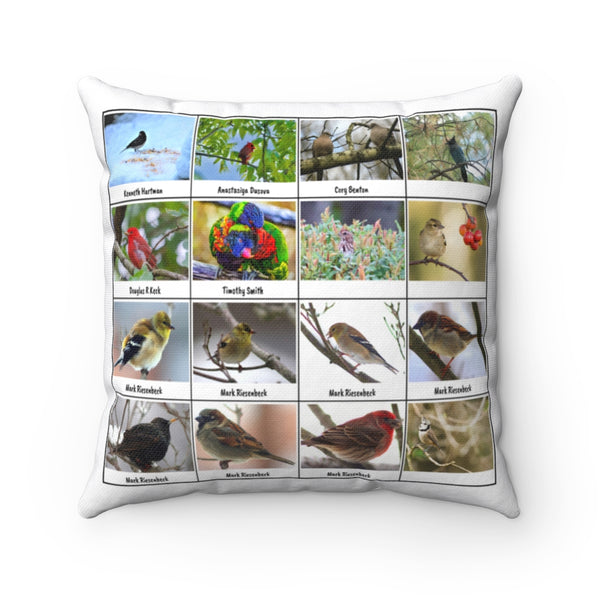 Astonishing Bird Photography (Version 7)