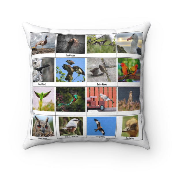 Fantastic Bird Photography (Version 7)