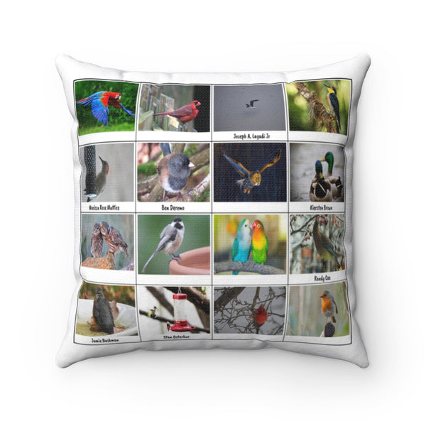 Magnificent Bird Photography (Version 2)