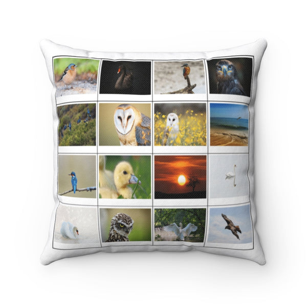 Astonishing Birds (Version 7)