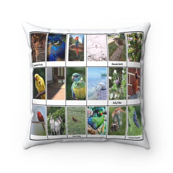 Astonishing Bird Photography (Version 3)