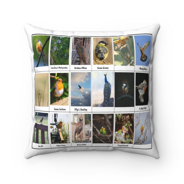 Excellent Bird Photography (Version 4)